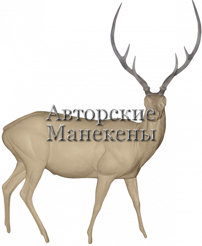 Манекен олень аксис ОАКМ-1 П