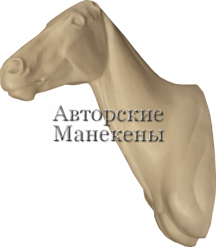 Манекен лошадь ЛОШТ-1 Л