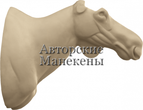 Манекен лось камчатский ЛСКТ-1