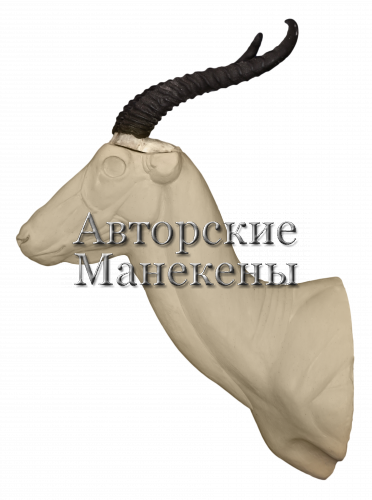 Манекен газель сомалийская (Сомеринга) ГЗСТ-1