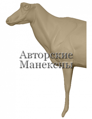 Манекен сейбл (черная антилопа) СЕБМ-1 Л 1/2