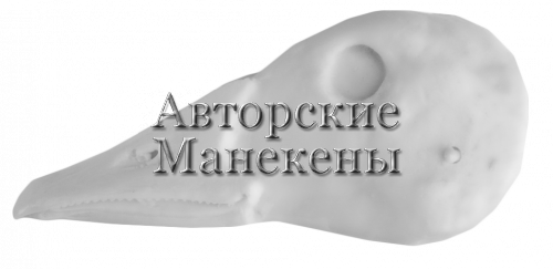 Голова гусь белолобый