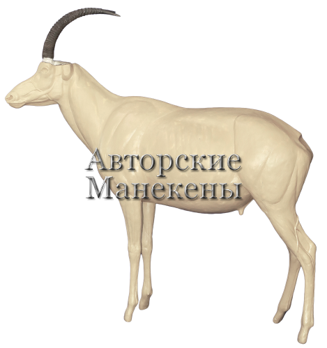 Манекен роан (лошадиная антилопа) РОАМ-1 Л