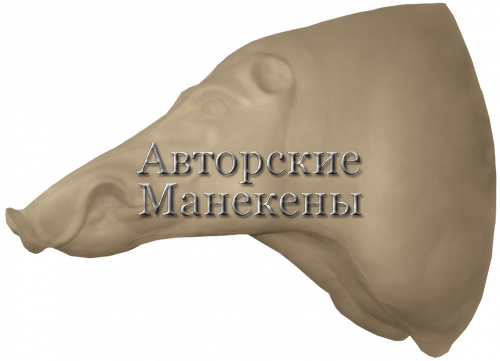 Манекен кабан КБНТ-9-3