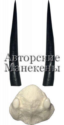 Рога стинбок с лобовиной