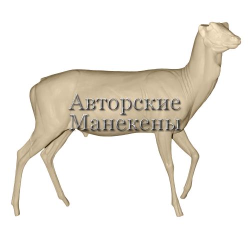 Манекен лань ЛАНМ-2 П