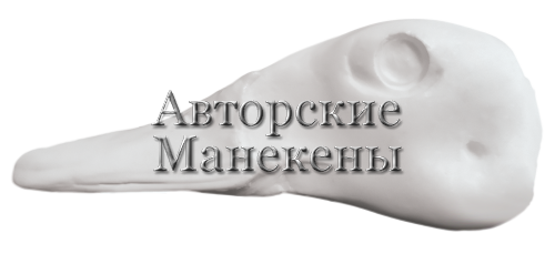 Голова чирок-свистунок