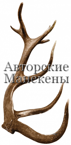 Рог олень благородный №8