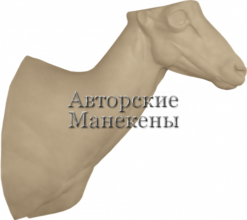 Манекен баран Марко-Поло БМПТ-5
