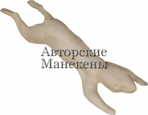 Манекен белка БЕЛМ-1