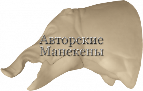 Манекен кабан КБНТ-1