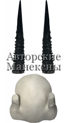 Рога дик-дик с лобовиной