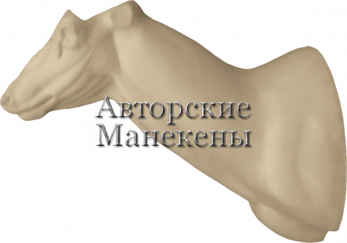 Манекен олень благородный ОЛБТ-6