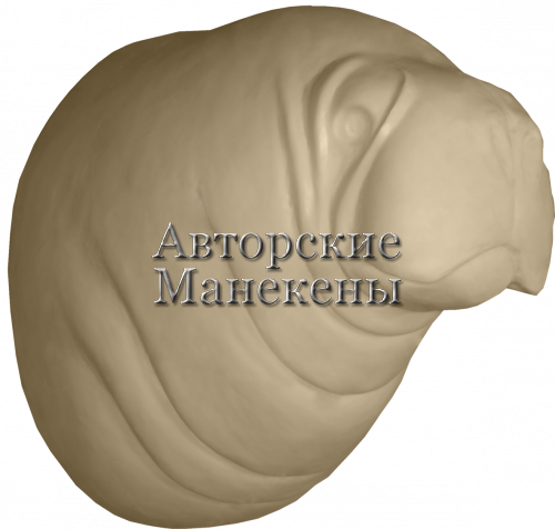 Манекен морж МРЖТ-1