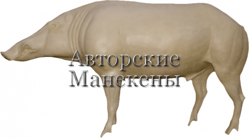 Манекен кабан КБНМ-1