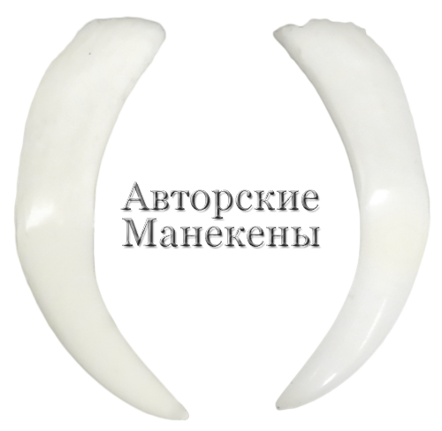 Клыки мунтжак