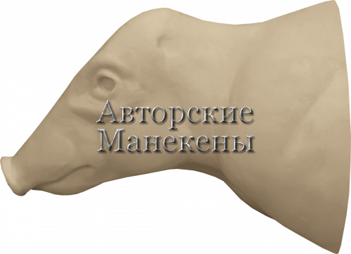 Манекен пекари белогубый ПКРТ-1