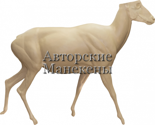 Манекен баран Марко-Поло БМПМ-2