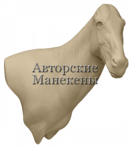 Манекен зебра Бурчеллова ЗБУТ-1 П