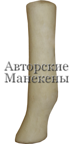 Нога зебра