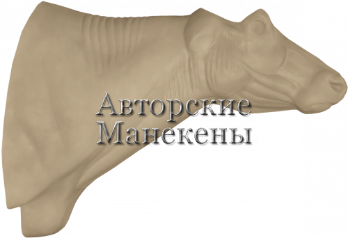 Манекен буйвол капский (самка) БФЛТ-6