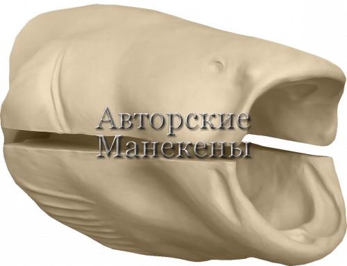 Манекен сом СОМТ-6