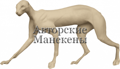Манекен рысь европейская РЫСМ-4 Л