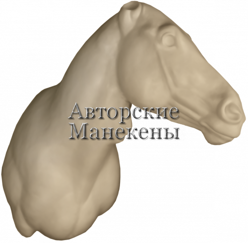 Манекен зебра горная ЗЕБТ-3 Л