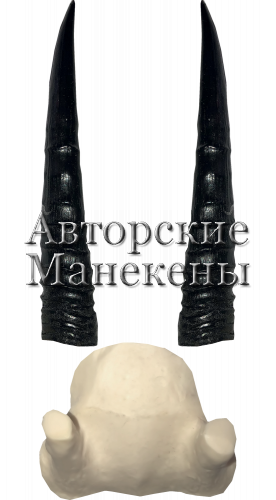 Рога ориби с лобовиной