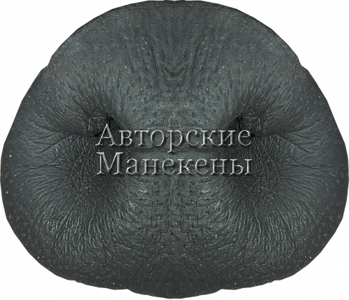 Нос кабан