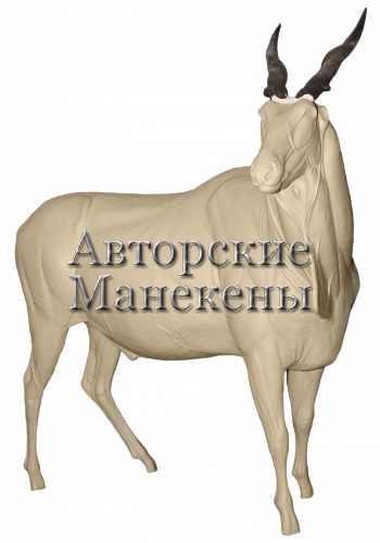 Манекен иланд (канна) ИЛДМ-1 П