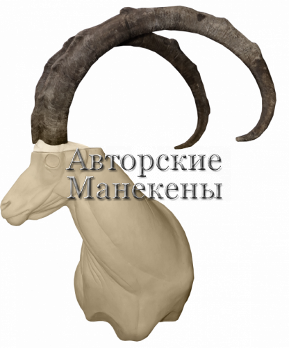 Манекен козел безоаровый БЗКТ-2 П