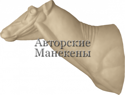 Манекен олень благородный ОЛБТ-4