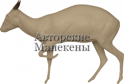 Манекен дукер рыжебокий ДРЖМ-1 П
