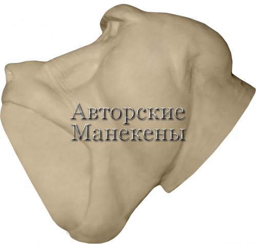 Манекен бабуин БАБС-2
