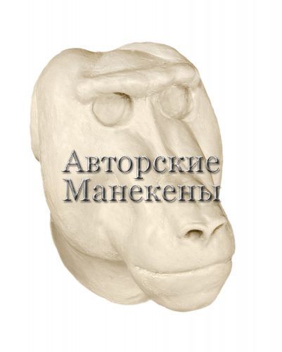 Манекен гамадрил ГДБС-1