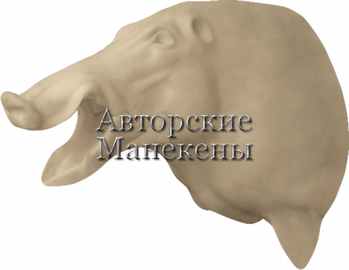 Манекен кабан КБНТ-10 Л