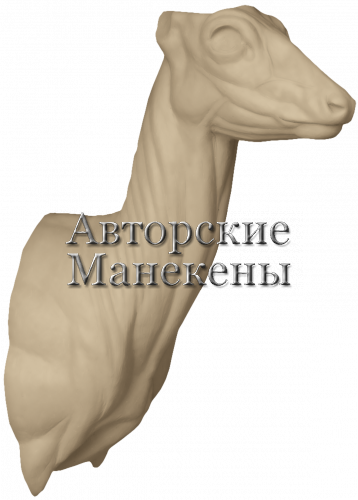Манекен косуля сибирская КССТ-5 П
