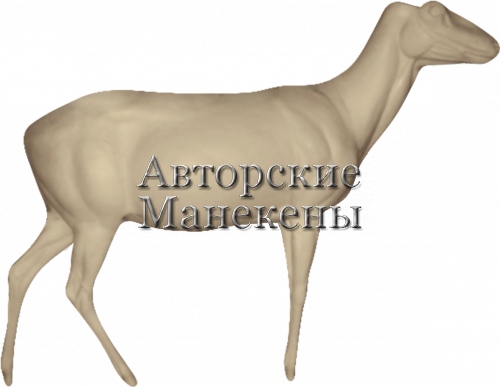 Манекен олень благородный ОЛБМ-3 П