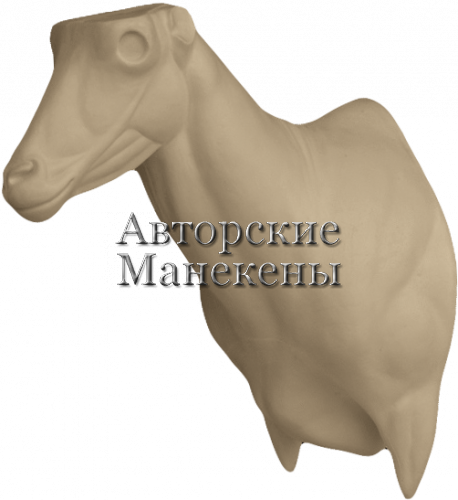 Манекен аудад (гривистый баран) АУДТ-2