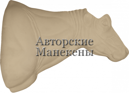 Манекен буйвол саванный БФКТ-1
