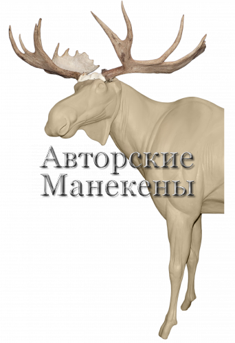 Манекен лось камчатский ЛСКМ-1 Л 1/2