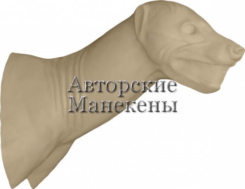 Манекен гиена пятнистая ГИПТ-2