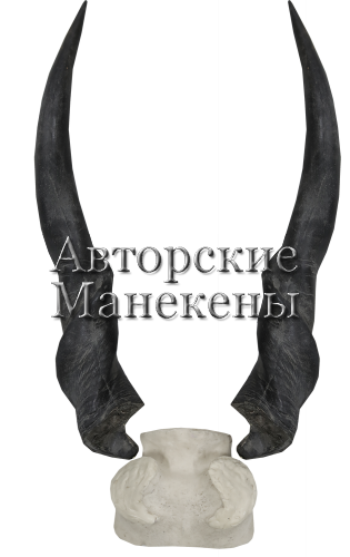 Рога иланд с лобовиной