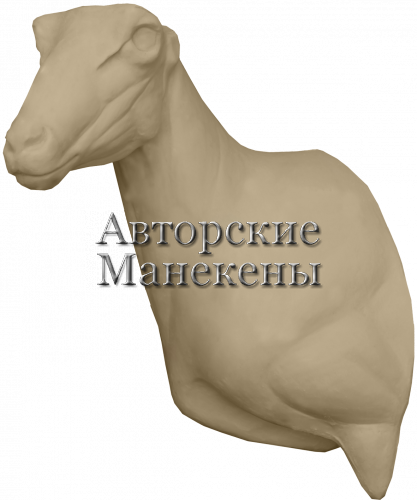 Манекен аргали алтайский ААЛТ-1 Л