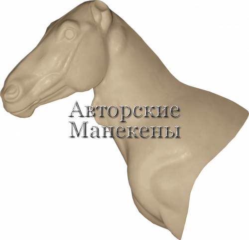 Манекен зебра горная ЗЕБП-1 Л