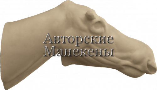 Манекен лось европейский (шильник) ЛСЕТ-3