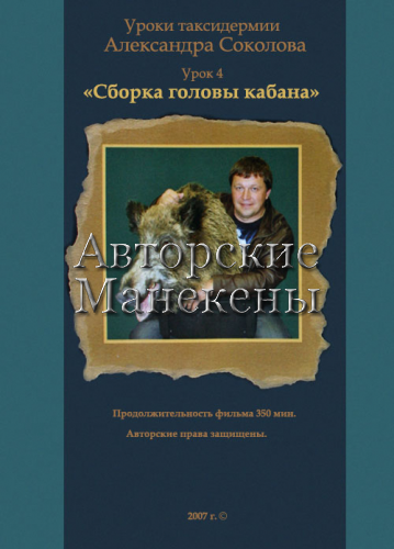 Видеоурок №4 "Сборка трофейной головы кабана"