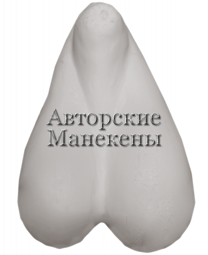 Тестикулы леопард, пума