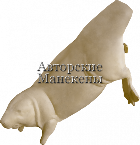 Манекен бобр ББРМ-4 Л